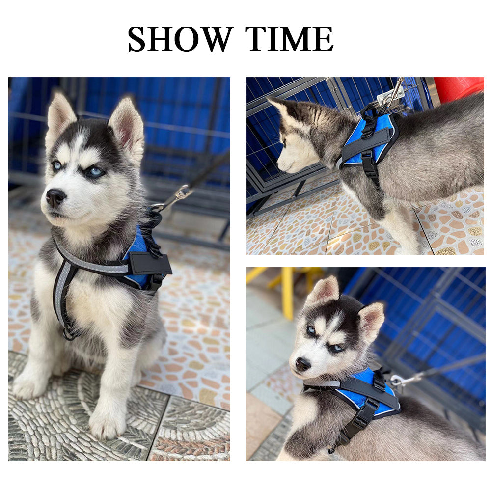 KFX-8663357 Durable and Comfortable Pet Leash Chest Harness with Adjustable Fit