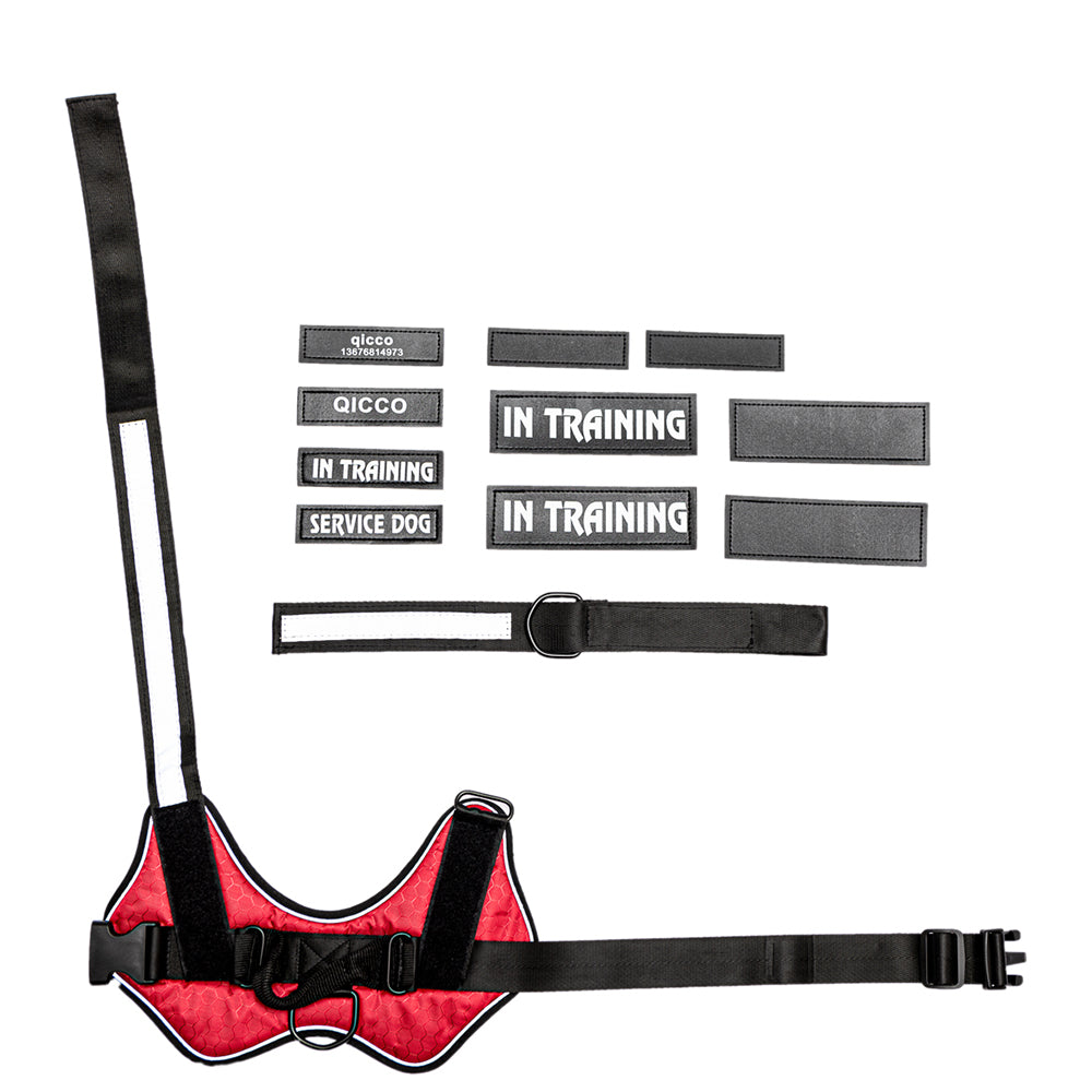 KFX-8663357 Durable and Comfortable Pet Leash Chest Harness with Adjustable Fit