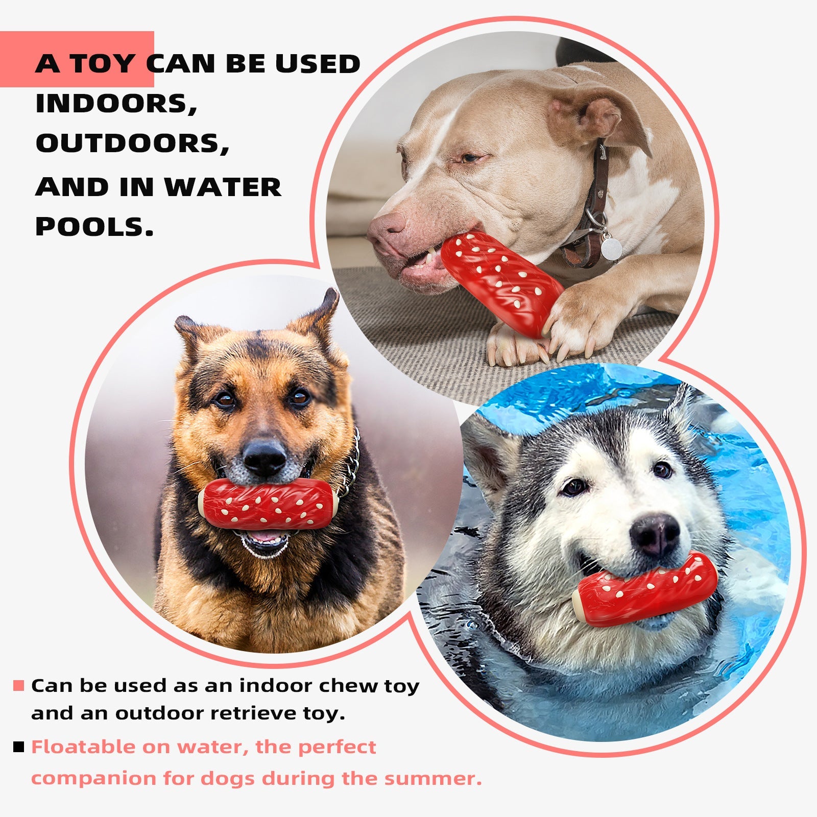 KFX-8665917 Molar Rod Dog Toy for Chewing and Playtime Fun with Durable Plastic Design