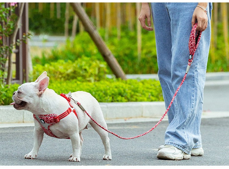 KFX-8667069 Floral Cotton Pet Dog Leash with Zinc Alloy Clips - Available in Blue and Red
