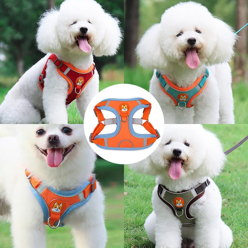 KFX-8674493 Adjustable No Pull Dog Harness and Leash Set for Small Dogs and Puppies with Reflective Strips