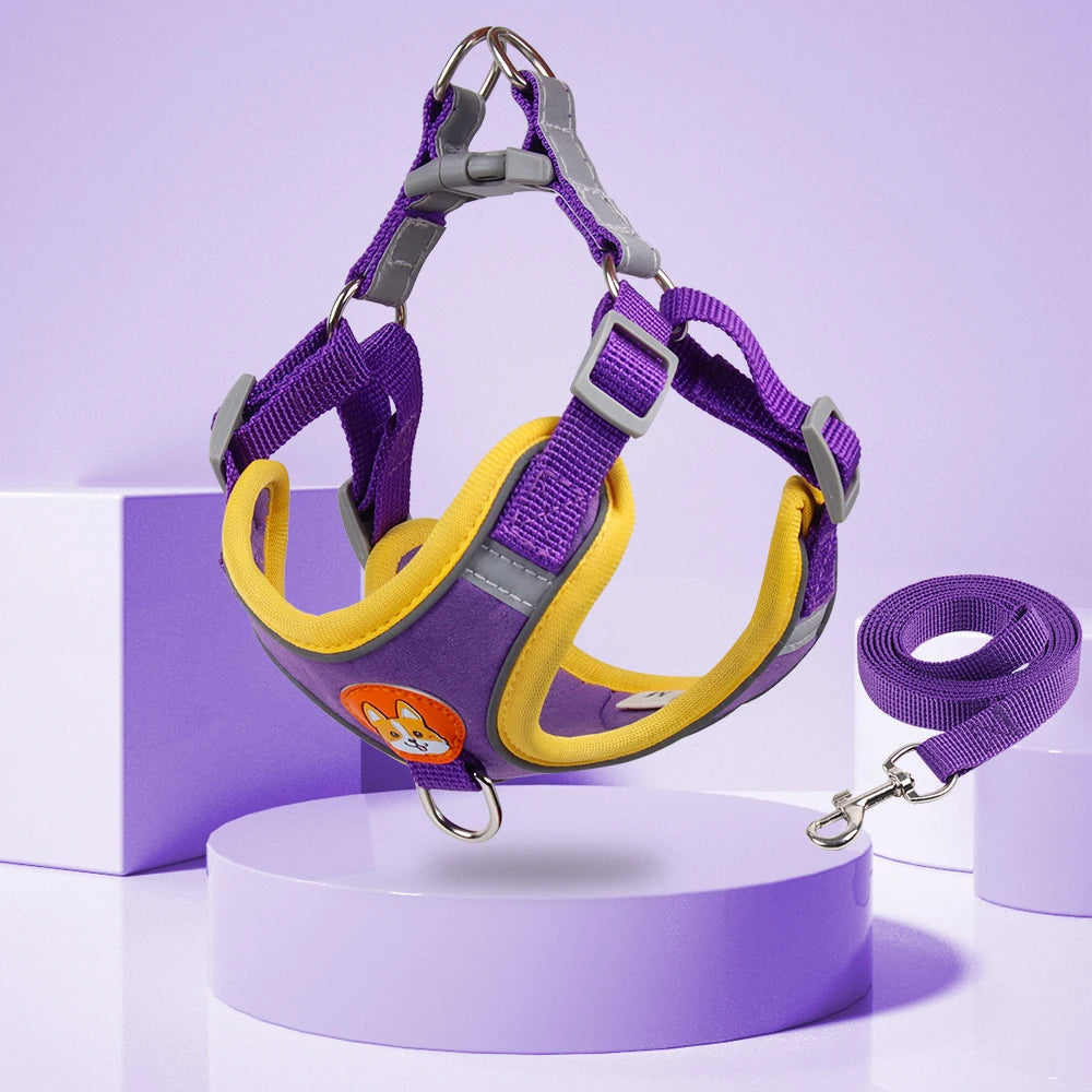 KFX-8674493 Adjustable No Pull Dog Harness and Leash Set for Small Dogs and Puppies with Reflective Strips
