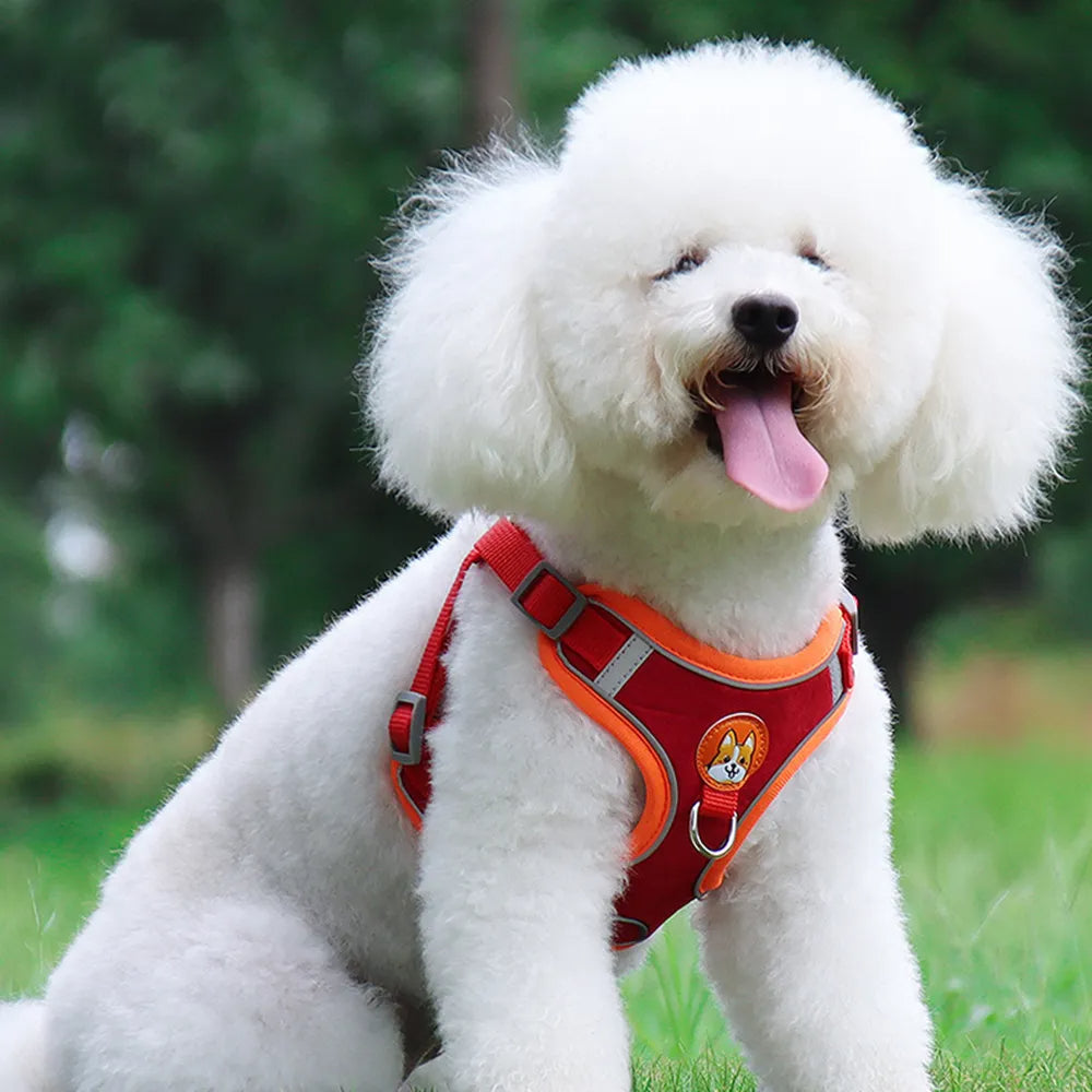 KFX-8674493 Adjustable No Pull Dog Harness and Leash Set for Small Dogs and Puppies with Reflective Strips