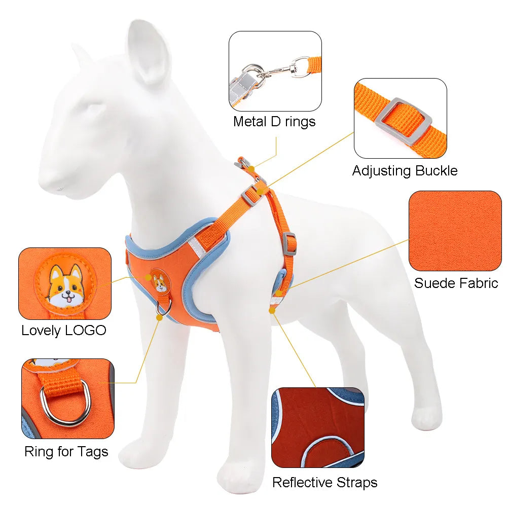 KFX-8674493 Adjustable No Pull Dog Harness and Leash Set for Small Dogs and Puppies with Reflective Strips
