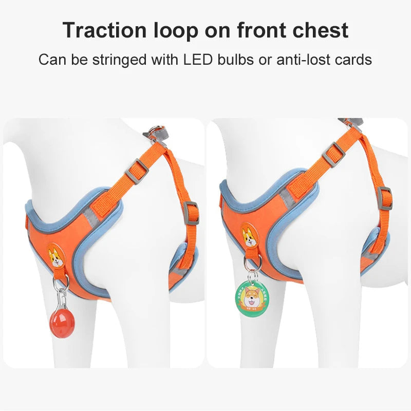 KFX-8674493 Adjustable No Pull Dog Harness and Leash Set for Small Dogs and Puppies with Reflective Strips