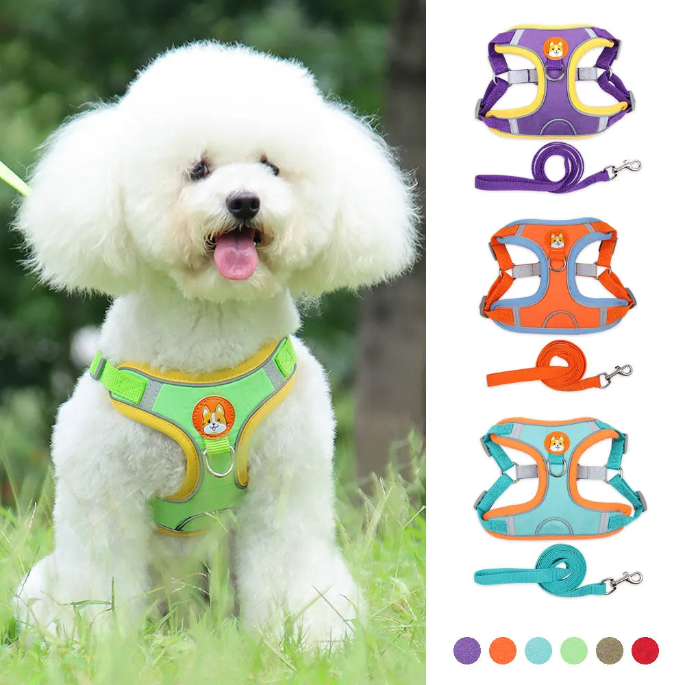 KFX-8674493 Adjustable No Pull Dog Harness and Leash Set for Small Dogs and Puppies with Reflective Strips