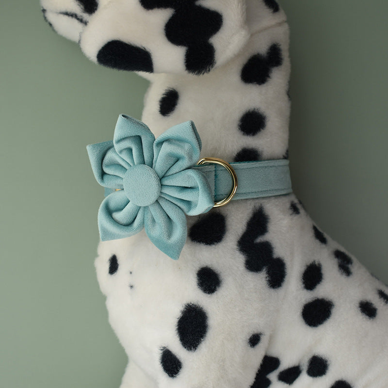 KFX-8680765 Lake Green Velvet Flannel Dog Collar Set with Gold Buckles, Bow and Flower Accessories - Available in Sizes S to XL