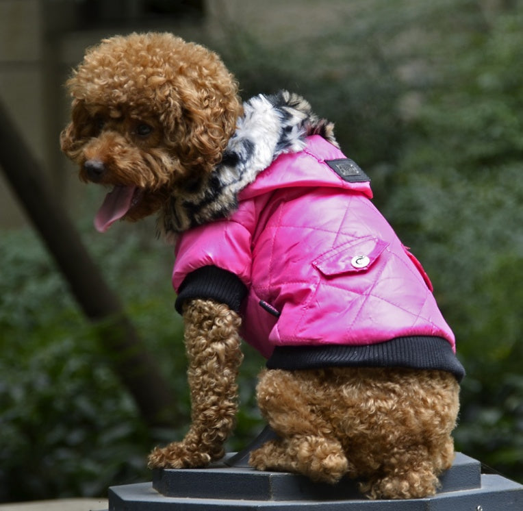 KFX-8682941 Medium Autumn & Winter Dog Coat with Fur Collar - Breathable, Comfortable Pet Clothing