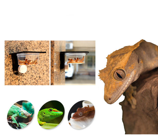 KFX-8684733 Multifunctional Wall-Mounted Pet Water Basin with Adjustable Installation Options