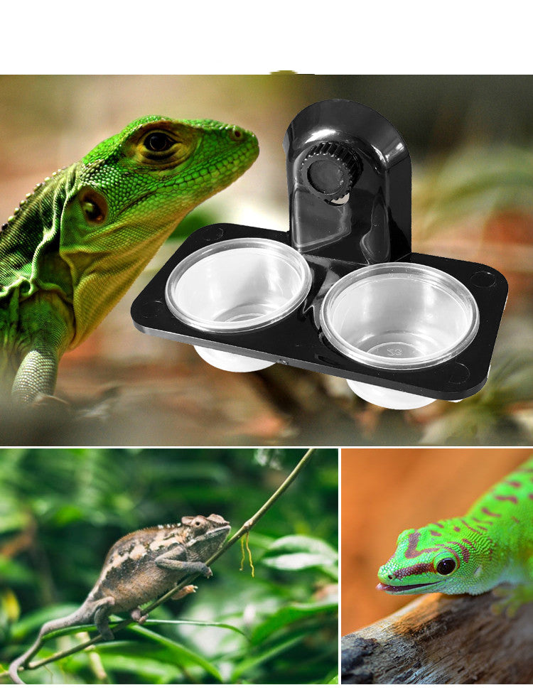 KFX-8684733 Multifunctional Wall-Mounted Pet Water Basin with Adjustable Installation Options