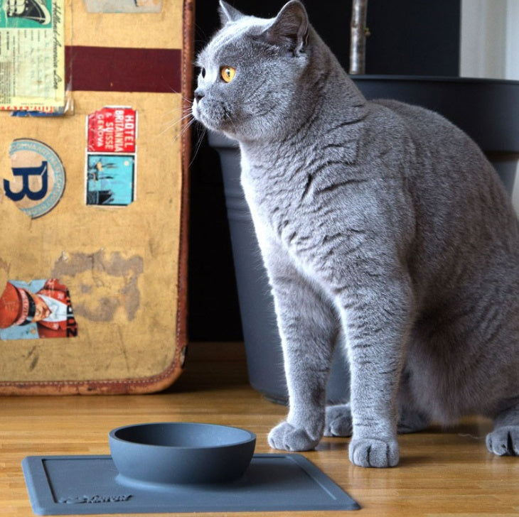 KFX-8690493 Silicone Anti-Splash Pet Bowl with Strong Suction Base, Food Grade Material