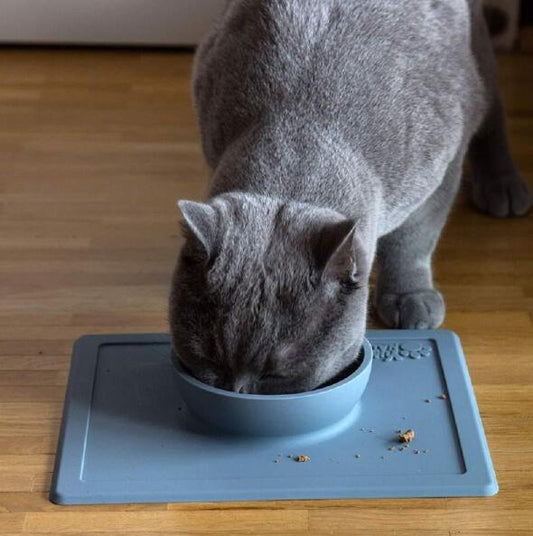 KFX-8690493 Silicone Anti-Splash Pet Bowl with Strong Suction Base, Food Grade Material