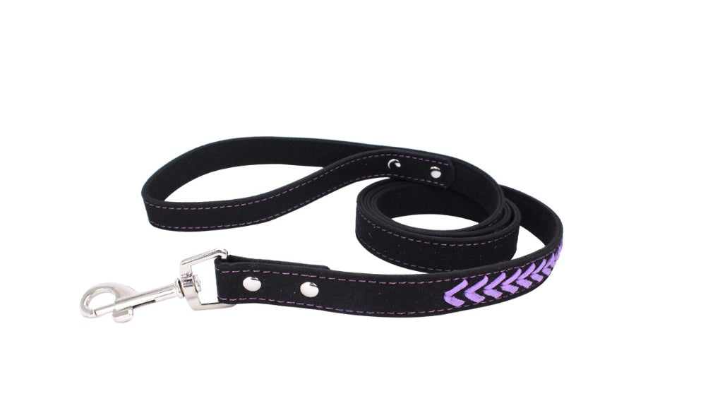 KFX-8696125 Custom Engraved Stainless Steel Dog Collar in Various Sizes and Colors