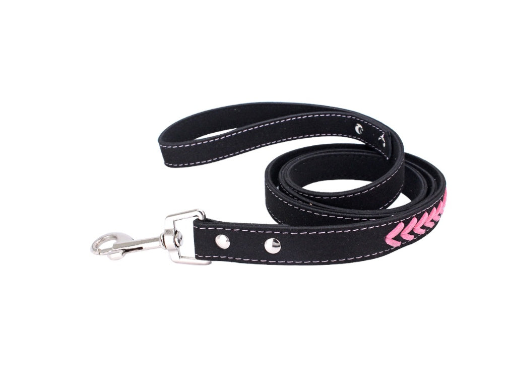 KFX-8696125 Custom Engraved Stainless Steel Dog Collar in Various Sizes and Colors