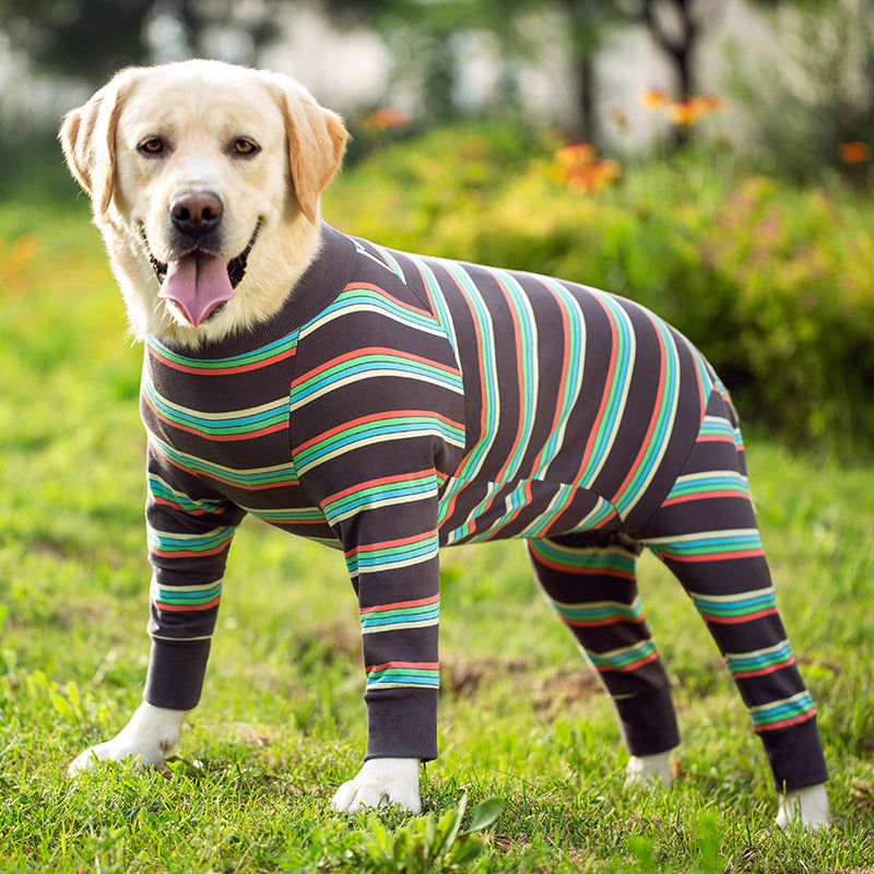 KFX-8700605 All-in-One Cotton Belly Protector for Pets to Reduce Shedding