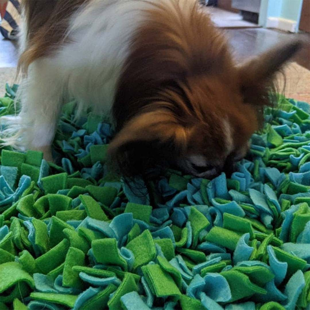 KFX-8700861 Interactive Sniffing Pad for Dogs - Plush Slow Food Training Toy, 30x30CM, Red Black & Grass Green