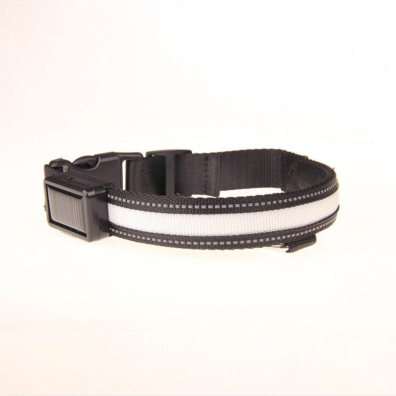 KFX-8707773 Solar LED Light-Up Dog Collar with USB Rechargeable Feature, Multiple Colors Available