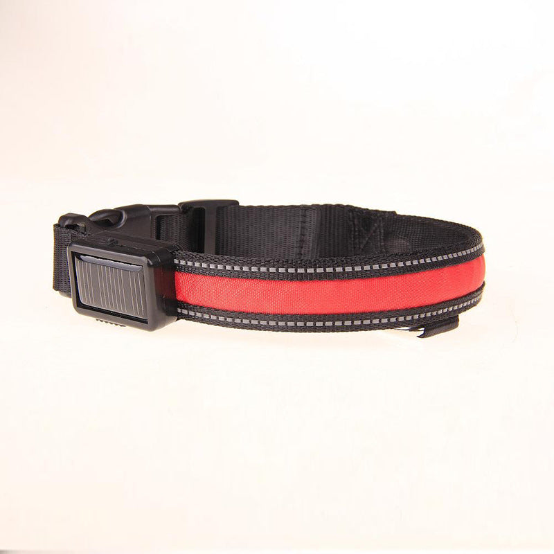 KFX-8707773 Solar LED Light-Up Dog Collar with USB Rechargeable Feature, Multiple Colors Available