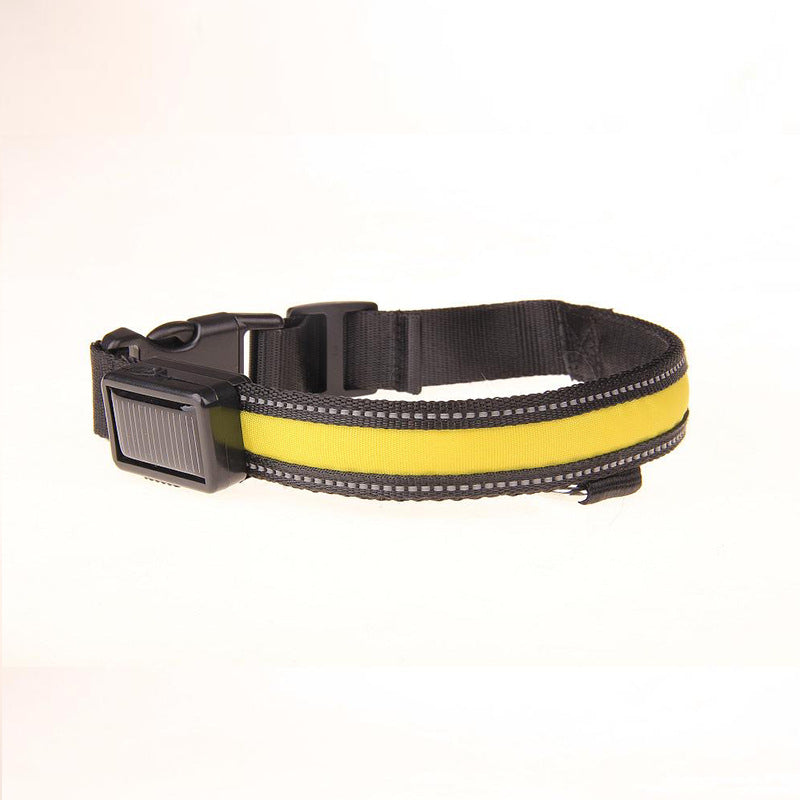 KFX-8707773 Solar LED Light-Up Dog Collar with USB Rechargeable Feature, Multiple Colors Available