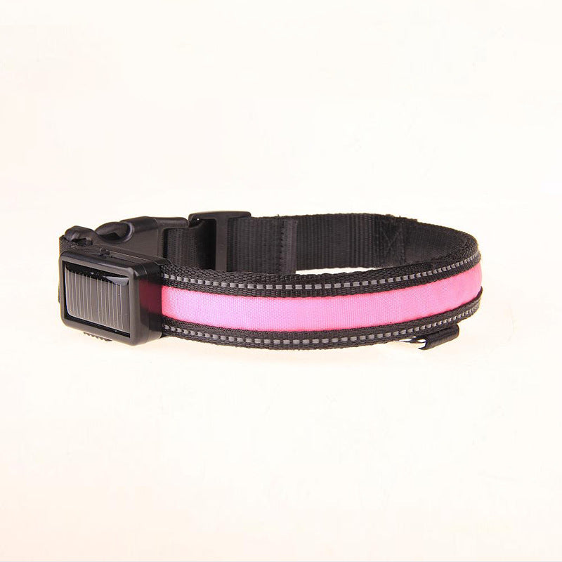 KFX-8707773 Solar LED Light-Up Dog Collar with USB Rechargeable Feature, Multiple Colors Available