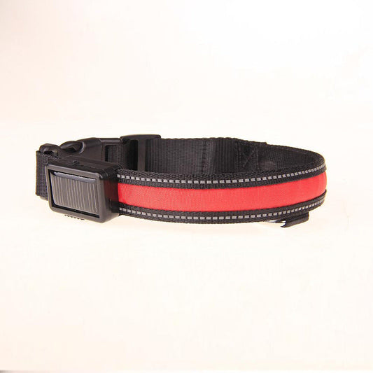 KFX-8707773 Solar LED Light-Up Dog Collar with USB Rechargeable Feature, Multiple Colors Available