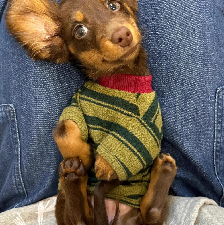 KFX-8710333 Adorable Dark Green Striped Two-Legged Vest for Pets – Trendy, Durable, and Breathable
