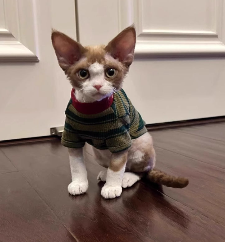 KFX-8710333 Adorable Dark Green Striped Two-Legged Vest for Pets – Trendy, Durable, and Breathable
