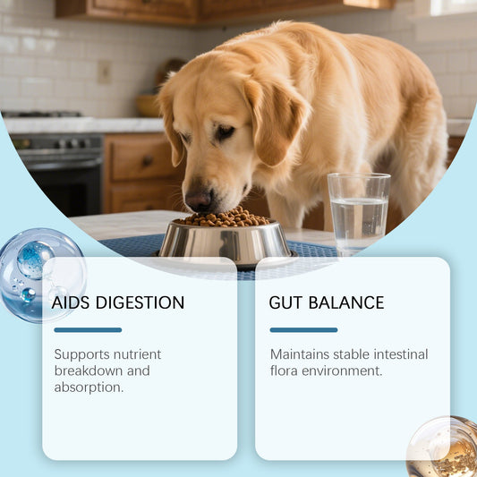 KFX-8711613 Daily Probiotic Soft Granules for Dog Gut Health with Pumpkin, Flaxseed Oil, and Digestive Enzymes 200g