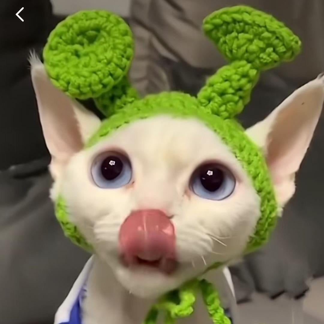 KFX-8716349 Hand-Crocheted Funny Knitted Pet Hats in Various Designs for Cats and Dogs