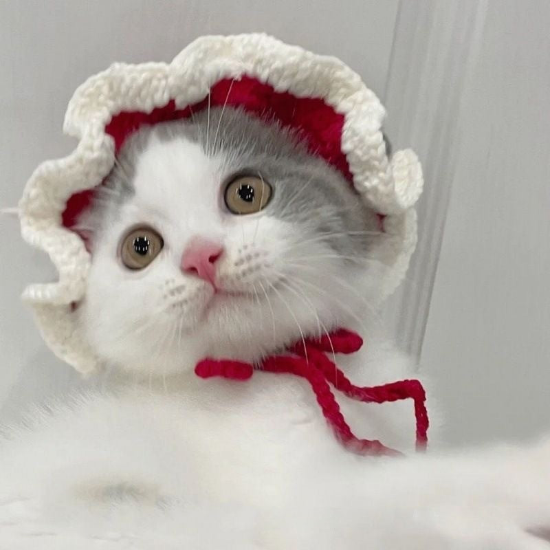 KFX-8716349 Hand-Crocheted Funny Knitted Pet Hats in Various Designs for Cats and Dogs