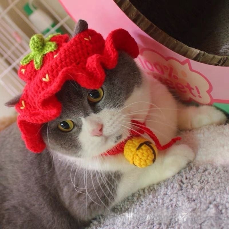 KFX-8716349 Hand-Crocheted Funny Knitted Pet Hats in Various Designs for Cats and Dogs