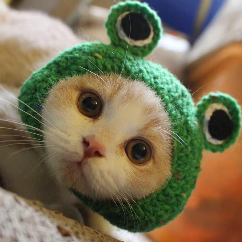 KFX-8716349 Hand-Crocheted Funny Knitted Pet Hats in Various Designs for Cats and Dogs