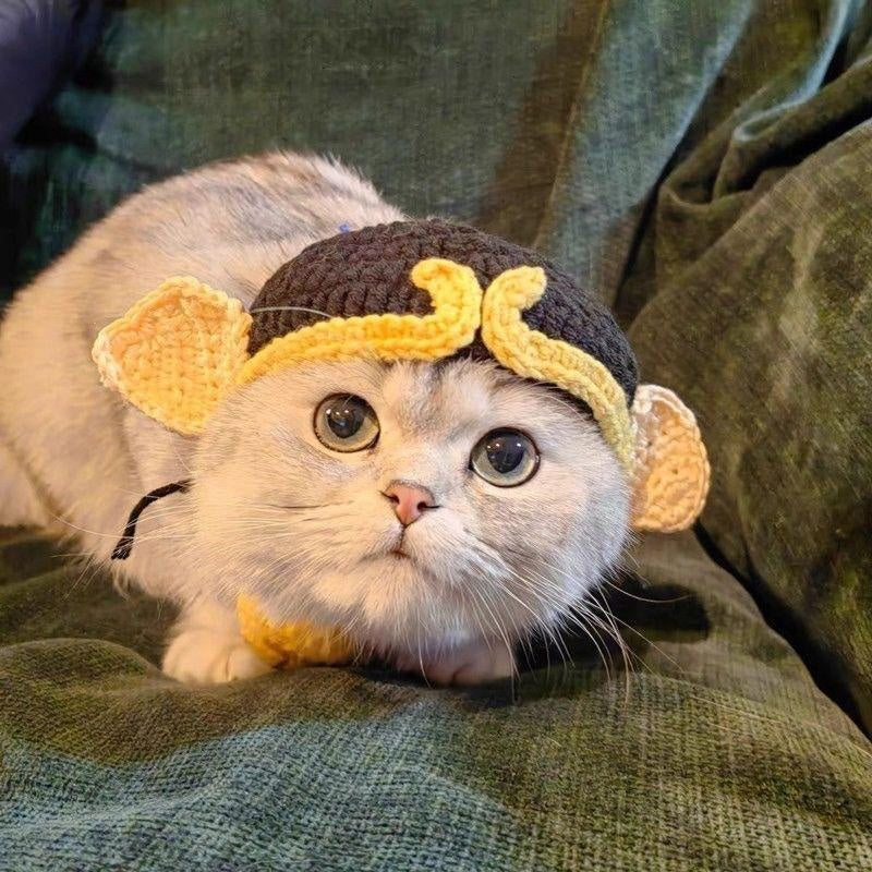 KFX-8716349 Hand-Crocheted Funny Knitted Pet Hats in Various Designs for Cats and Dogs