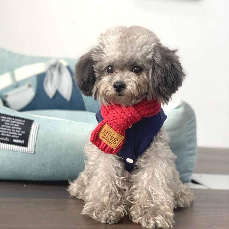 KFX-8724669 Stylish Warm Neckscarf Bandana for Dogs and Cats – Perfect for Winter Festivities