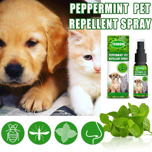KFX-8724925 Pet-Friendly Acarus Fungus Treatment Spray for Dogs and Cats - 60ml