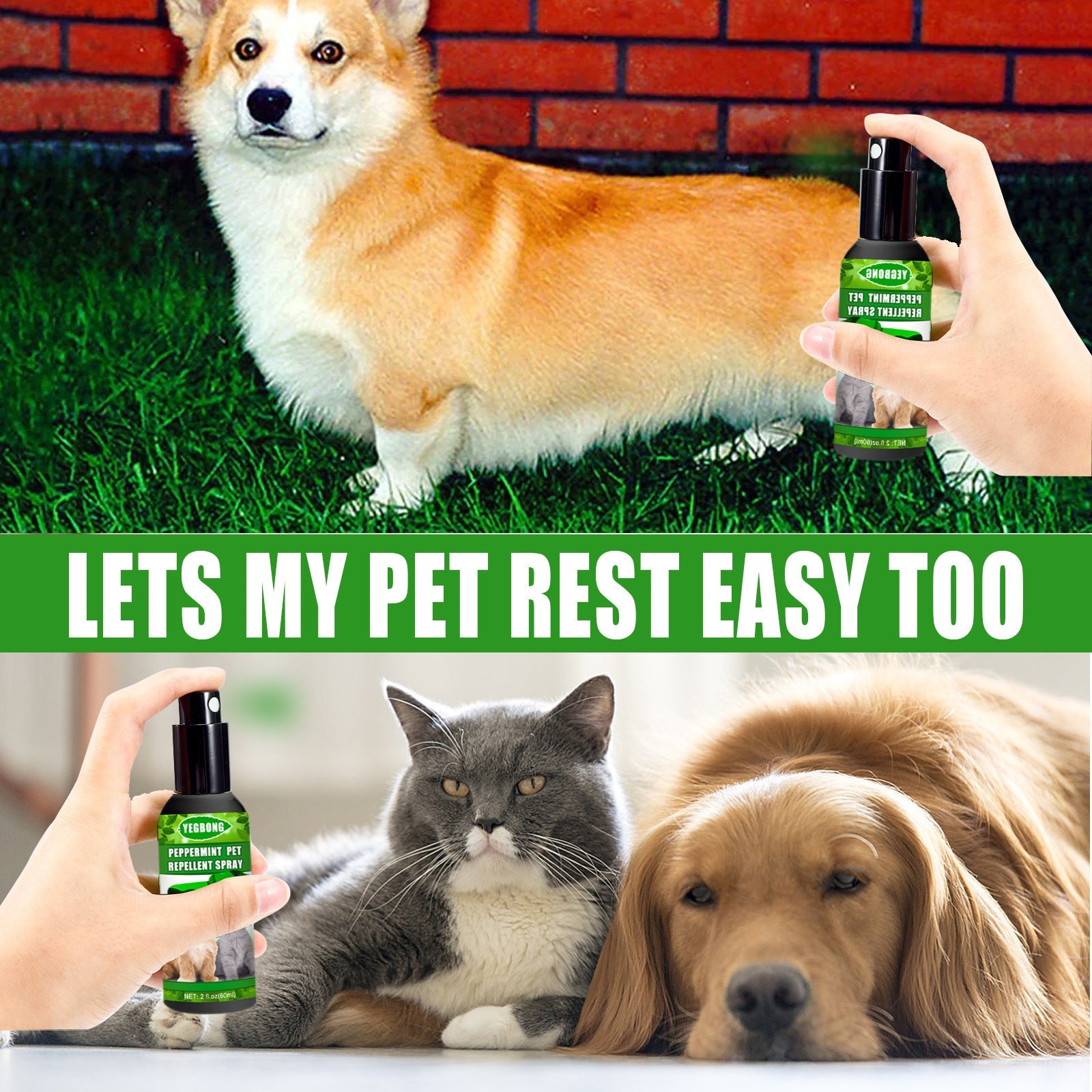 KFX-8724925 Pet-Friendly Acarus Fungus Treatment Spray for Dogs and Cats - 60ml