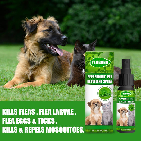 KFX-8724925 Pet-Friendly Acarus Fungus Treatment Spray for Dogs and Cats - 60ml