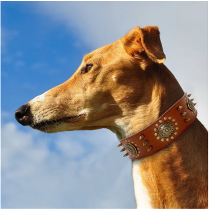 KFX-8725053 Retro Leather Neck Sleeve for Medium to Large Dogs with Alloy Rivets in Multiple Colors
