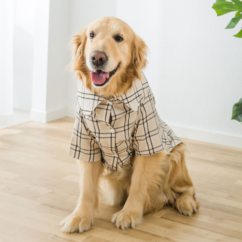 KFX-8725437 Golden Wool Labrador Chai Dog Shirt for Medium to Large Dogs, Available in Brown and Yellow
