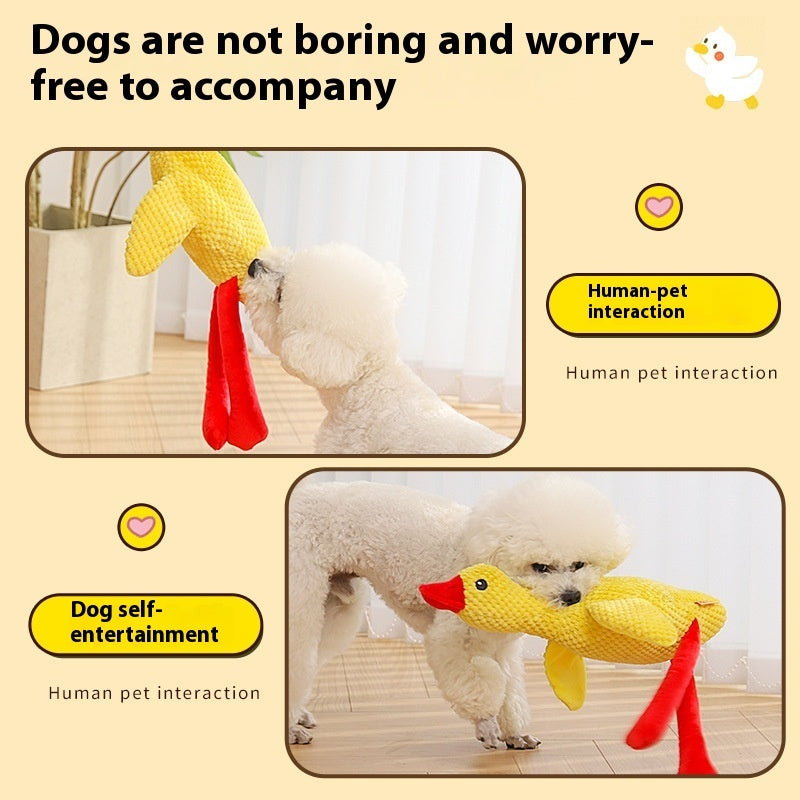 KFX-8725693 Plush Molar Chew Dog Toy in Rhubarb Goose Design for Puppies