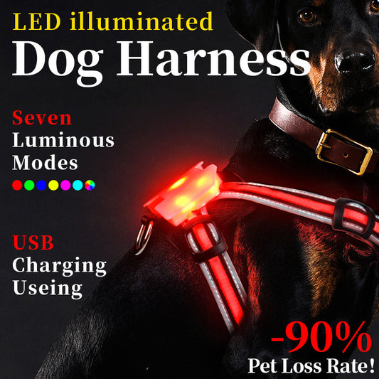 KFX-8726333 Luminous Nylon Dog Leash with Multi-Color Transformation and Explosion-Proof Design