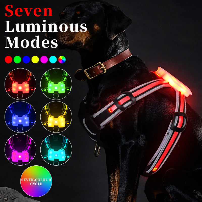 KFX-8726333 Luminous Nylon Dog Leash with Multi-Color Transformation and Explosion-Proof Design