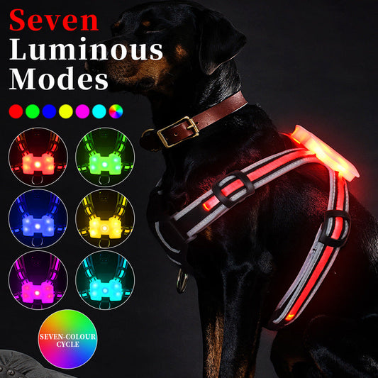 KFX-8726333 Luminous Nylon Dog Leash with Multi-Color Transformation and Explosion-Proof Design