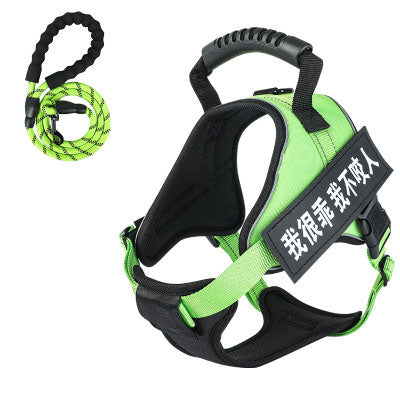 KFX-8732093 Adjustable Pet Harness with Leash - Available in Multiple Colors