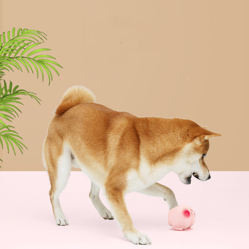 KFX-8739389 Interactive Latex Pet Toy with Soft Sound and Fun Fart Noise