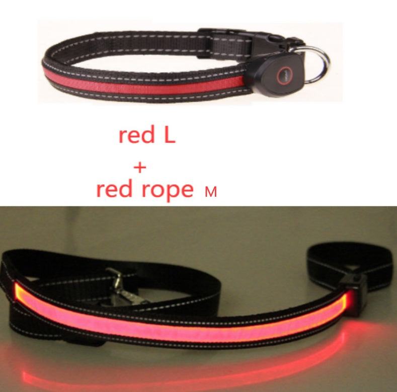 KFX-8740541 Luminous Dog Collar with Adjustable Length - Sizes S, M, L Available