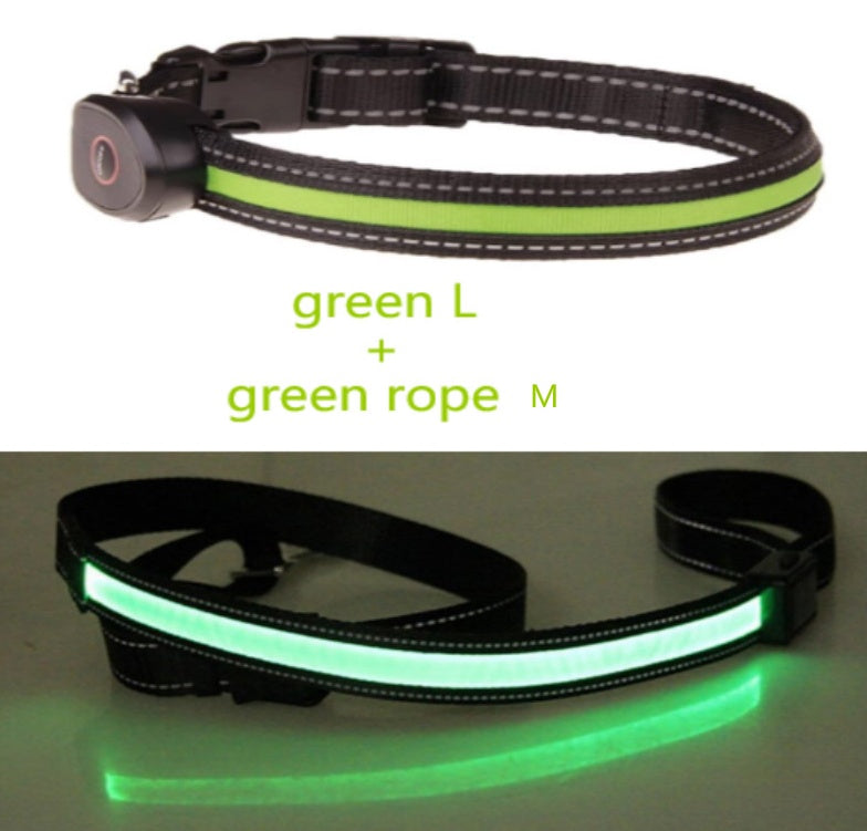 KFX-8740541 Luminous Dog Collar with Adjustable Length - Sizes S, M, L Available