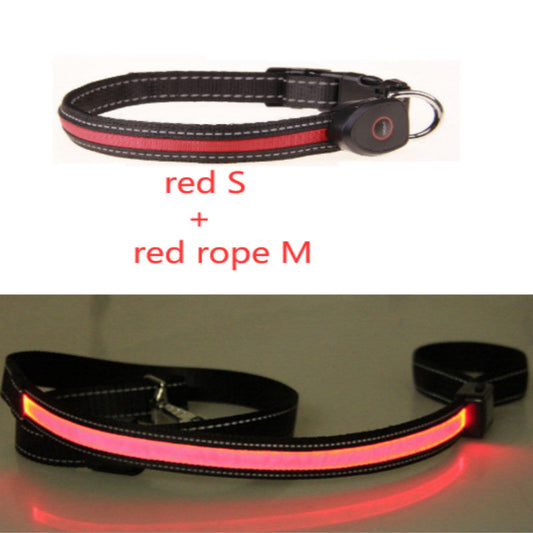 KFX-8740541 Luminous Dog Collar with Adjustable Length - Sizes S, M, L Available