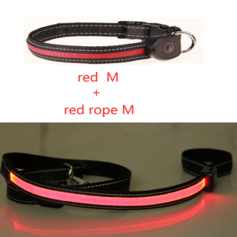 KFX-8740541 Luminous Dog Collar with Adjustable Length - Sizes S, M, L Available