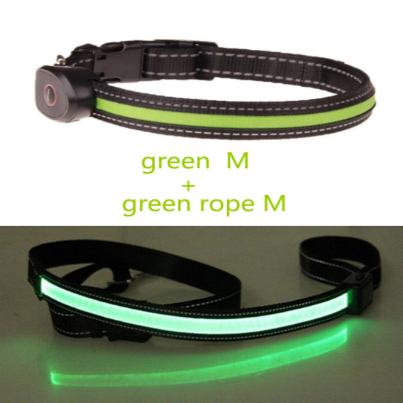 KFX-8740541 Luminous Dog Collar with Adjustable Length - Sizes S, M, L Available